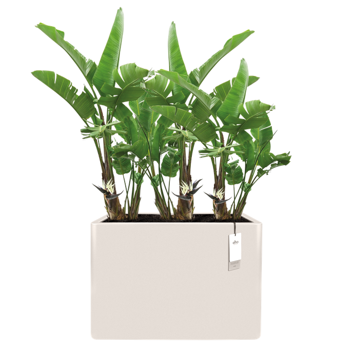 june brick divider 80cm linnen wit